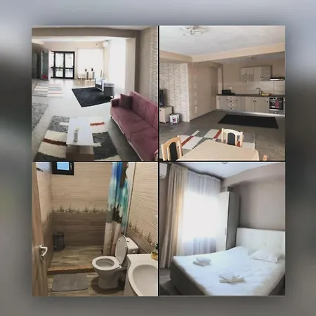 Casa Aryana Case de vacanță Orşova